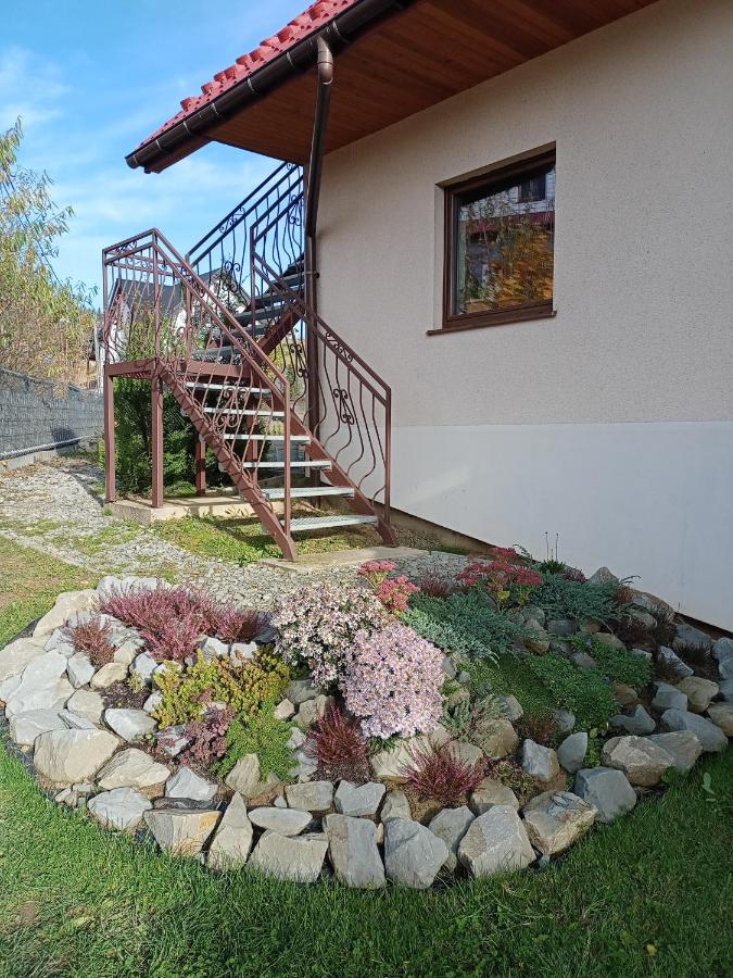 Hortensjowy Zakatek W Pieninach Сромовце-Выжне Экстерьер фото