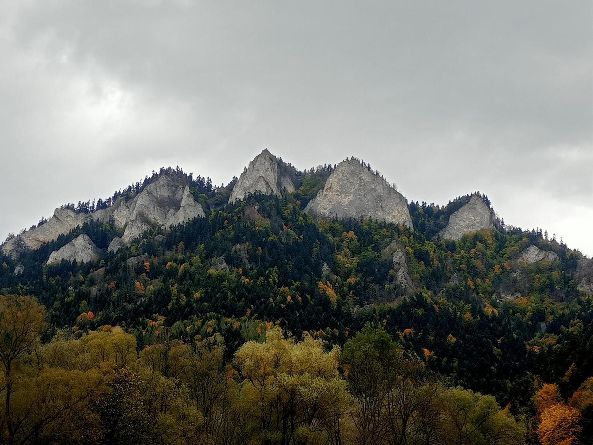 Hortensjowy Zakatek W Pieninach Сромовце-Выжне Экстерьер фото